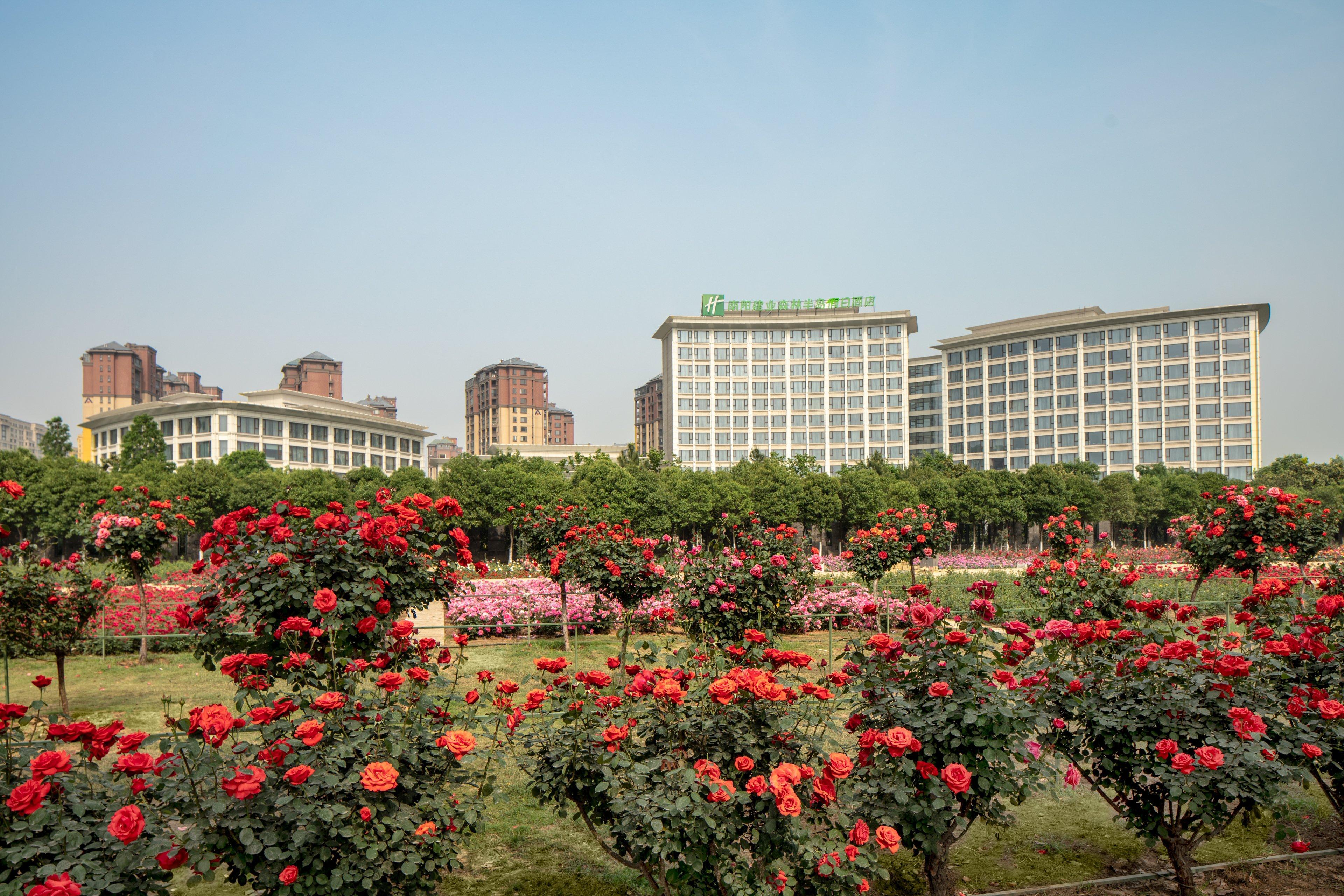 Holiday Inn Nanyang By Ihg Luaran gambar