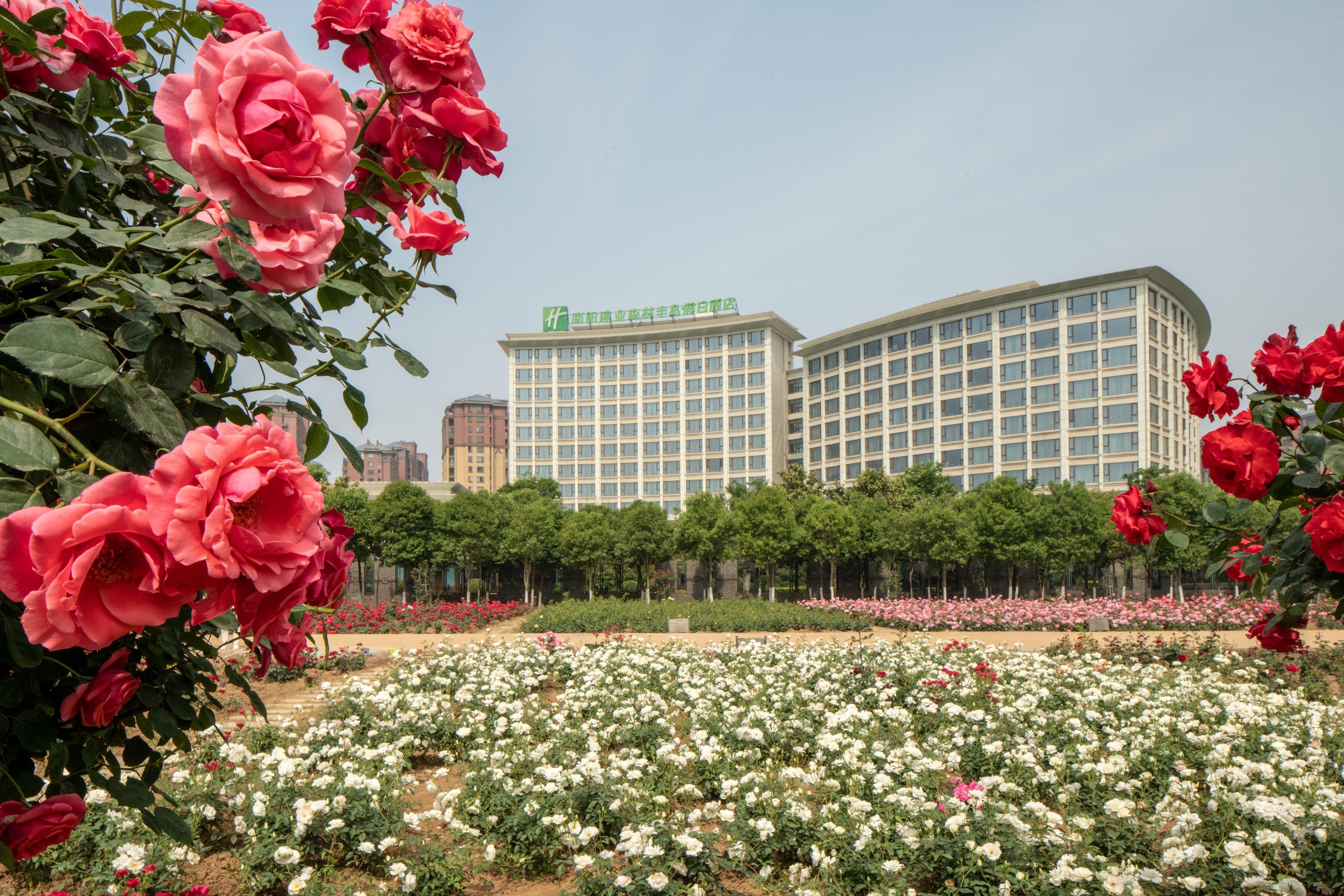 Holiday Inn Nanyang By Ihg Luaran gambar